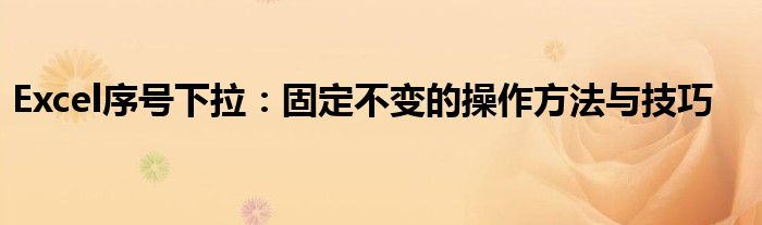 Excel序号下拉：固定不变的操作方法与技巧