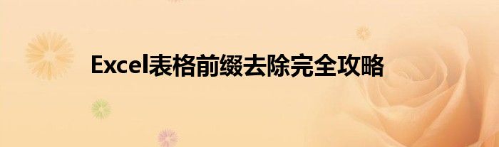 Excel表格前缀去除完全攻略