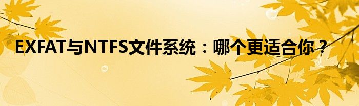 EXFAT与NTFS文件系统：哪个更适合你？