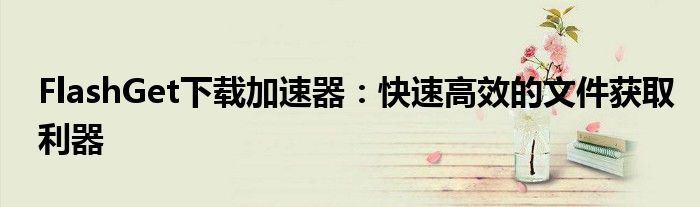 FlashGet下载加速器：快速高效的文件获取利器