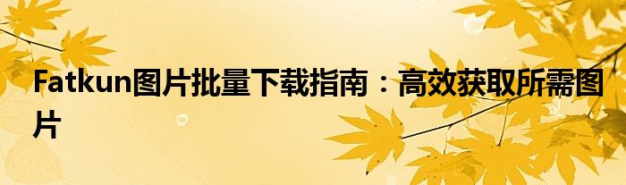 Fatkun图片批量下载指南：高效获取所需图片