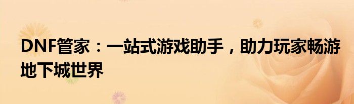 DNF管家：一站式游戏助手，助力玩家畅游地下城世界