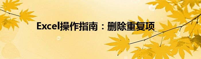 Excel操作指南：删除重复项