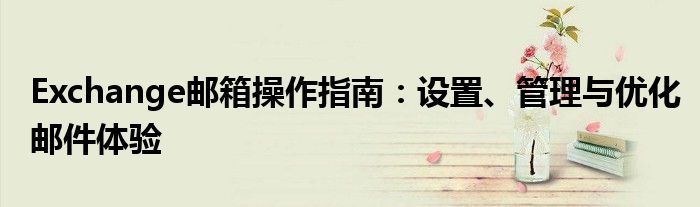 Exchange邮箱操作指南：设置、管理与优化邮件体验