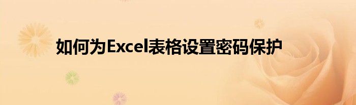 如何为Excel表格设置密码保护