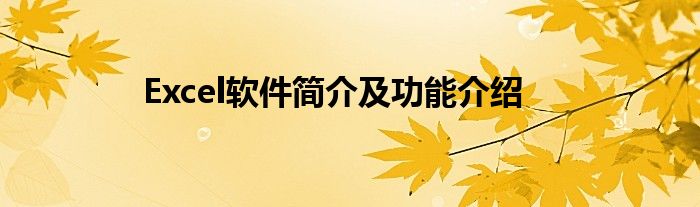 Excel软件简介及功能介绍