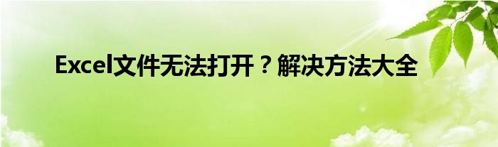 Excel文件无法打开？解决方法大全