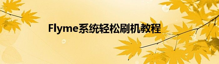 Flyme系统轻松刷机教程