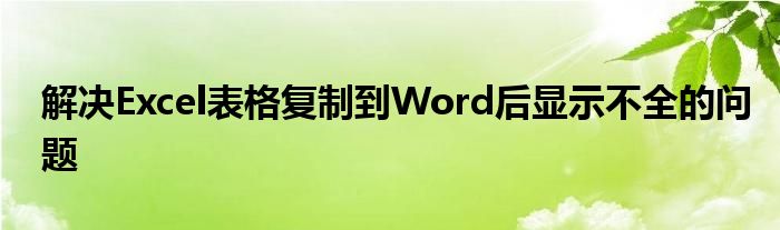 解决Excel表格复制到Word后显示不全的问题