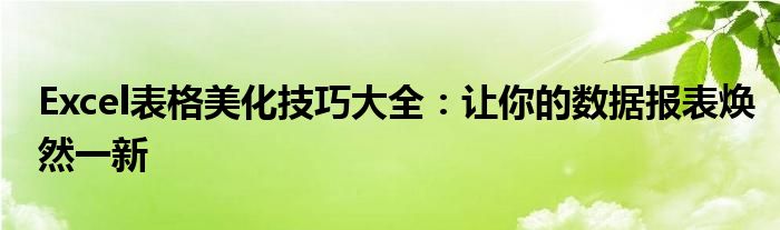 Excel表格美化技巧大全：让你的数据报表焕然一新