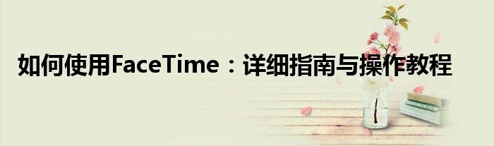 如何使用FaceTime：详细指南与操作教程