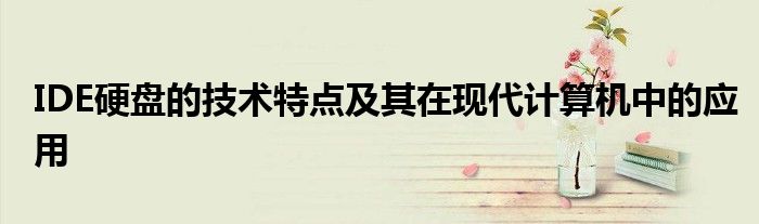 IDE硬盘的技术特点及其在现代计算机中的应用