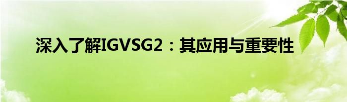 深入了解IGVSG2：其应用与重要性