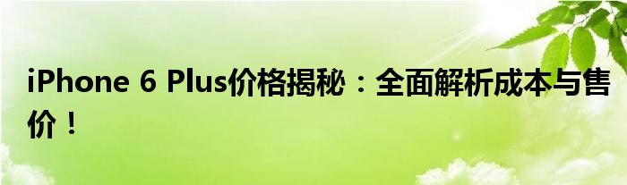 iPhone 6 Plus价格揭秘：全面解析成本与售价！