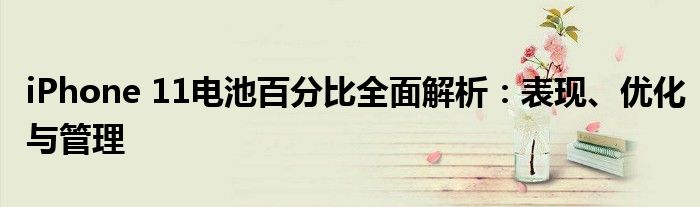 iPhone 11电池百分比全面解析：表现、优化与管理