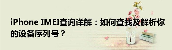 iPhone IMEI查询详解：如何查找及解析你的设备序列号？