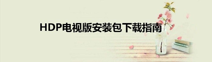 HDP电视版安装包下载指南
