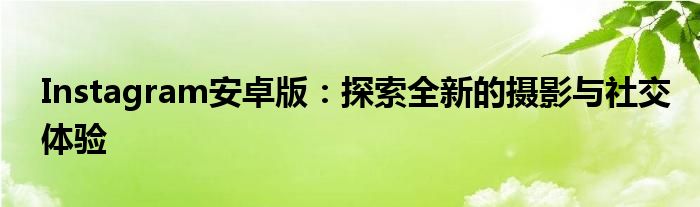 Instagram安卓版：探索全新的摄影与社交体验