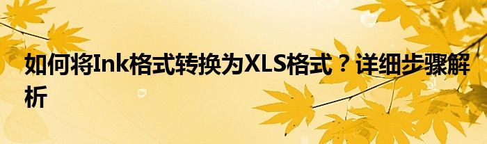 如何将Ink格式转换为XLS格式？详细步骤解析