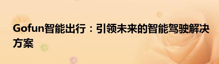 Gofun智能出行：引领未来的智能驾驶解决方案
