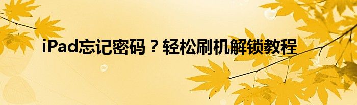 iPad忘记密码？轻松刷机解锁教程