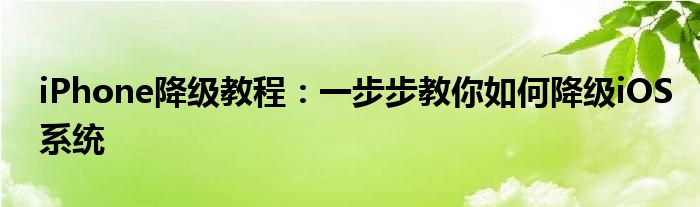 iPhone降级教程：一步步教你如何降级iOS系统