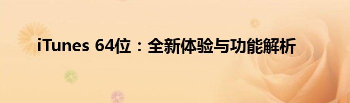 iTunes 64位：全新体验与功能解析