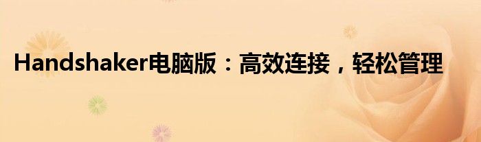 Handshaker电脑版：高效连接，轻松管理