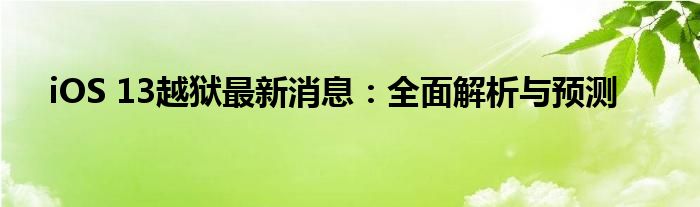 iOS 13越狱最新消息：全面解析与预测