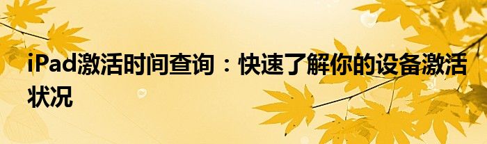 iPad激活时间查询：快速了解你的设备激活状况