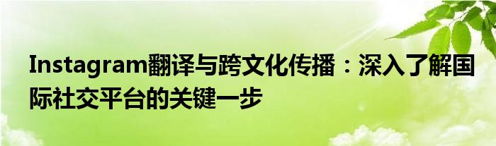 Instagram翻译与跨文化传播：深入了解国际社交平台的关键一步