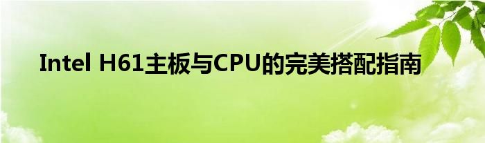 Intel H61主板与CPU的完美搭配指南