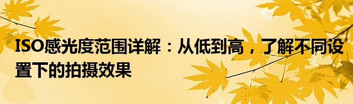 ISO感光度范围详解：从低到高，了解不同设置下的拍摄效果