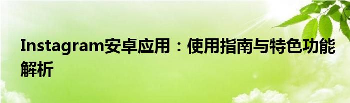 Instagram安卓应用：使用指南与特色功能解析