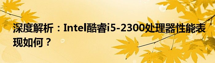 深度解析：Intel酷睿i5-2300处理器性能表现如何？