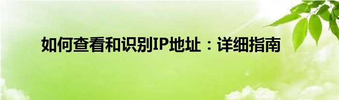 如何查看和识别IP地址：详细指南
