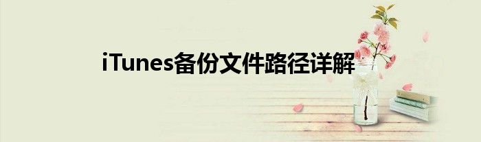 iTunes备份文件路径详解