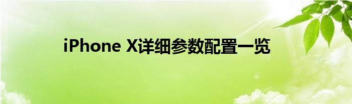 iPhone X详细参数配置一览