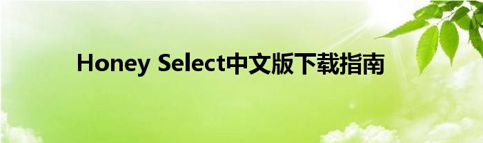 Honey Select中文版下载指南