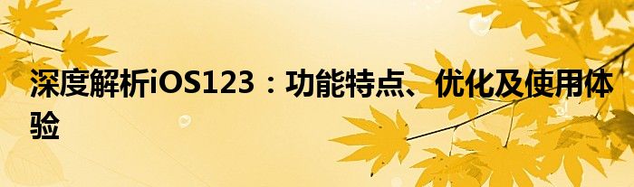 深度解析iOS123：功能特点、优化及使用体验