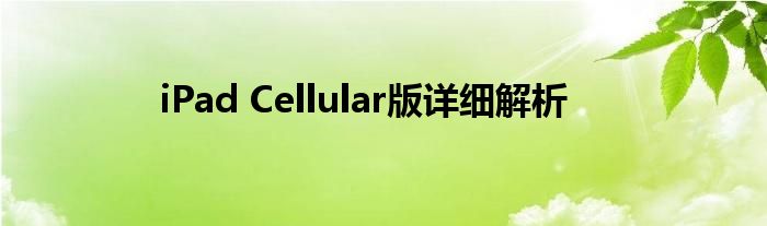 iPad Cellular版详细解析