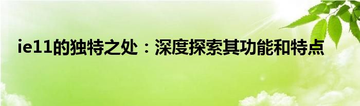 ie11的独特之处：深度探索其功能和特点