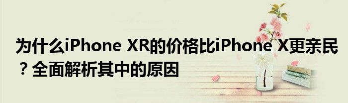 为什么iPhone XR的价格比iPhone X更亲民？全面解析其中的原因