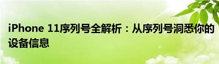 iPhone 11序列号全解析：从序列号洞悉你的设备信息