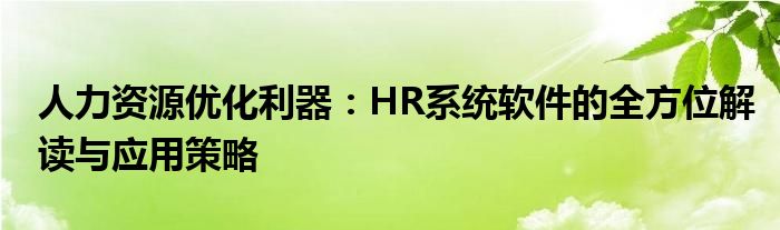 人力资源优化利器：HR系统软件的全方位解读与应用策略