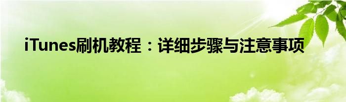 iTunes刷机教程：详细步骤与注意事项