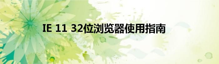 IE 11 32位浏览器使用指南