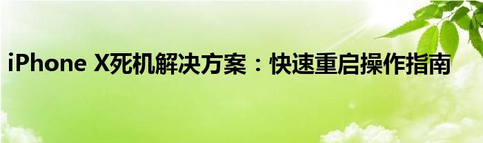 iPhone X死机解决方案：快速重启操作指南