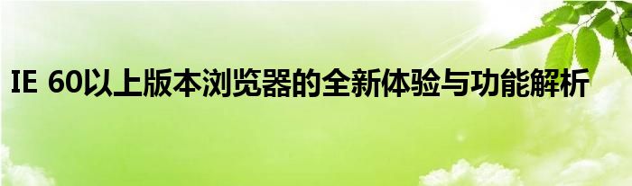 IE 60以上版本浏览器的全新体验与功能解析