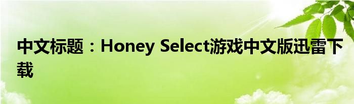 中文标题：Honey Select游戏中文版迅雷下载